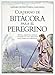 Cuaderno de bitácora para el peregrino: Historia, simbología, misterios y arquitectura para peregrinar por el Camino de las Estrellas