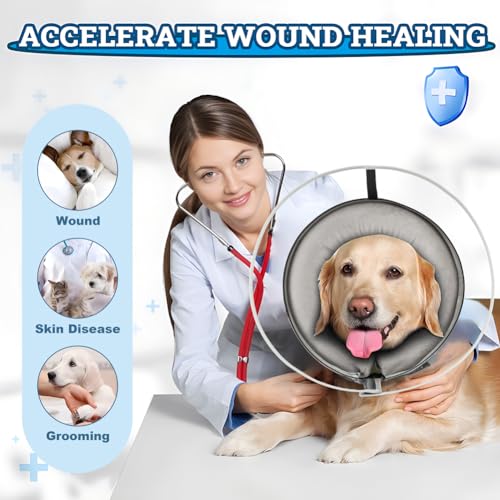 Image of Inflatable Dog Cone Collar for Dogs After Surgery, 2 in 1 Soft Inflatable Dog Cone with Manual Inflator and Clear PVC Anti-Licking Shield, Dog Recovery Protective Collar(Grey,Color:L)