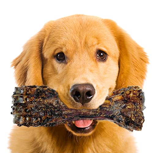 List of Ten Best Natural Dog Bones [Top Picks 2023 Reviews]