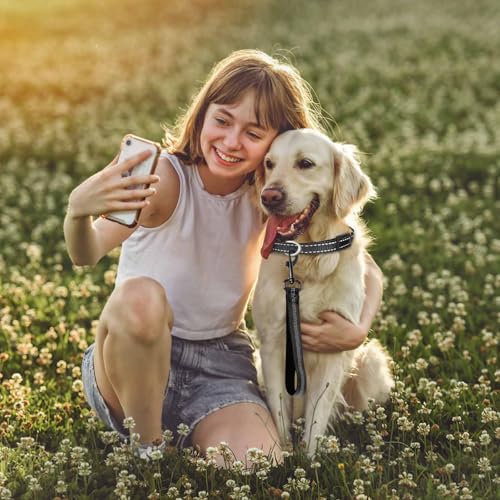 2 Stuck Hundeleine Kurz 30 cm,Kurze Leine für Hunde, Kurzleine Hund mit Gepolsterten Griff, Hundeleine Kurz um 360° Drehbar Reflektierend Nylon Hunde Schleppleine für Große und Mittlere Hund(Schwarz)