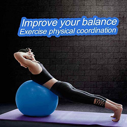 Vruta 65cm Gym Exercise Ball for Fitness, Stability, Gym, Balance & Yoga, Yoga Ball Chair, Balance Ball-with Pump Vruta 65cm Gym Exercise Ball for Fitness, Stability, Gym, Balance & Yoga, Yoga Ball Chair, Balance Ball-with Pump