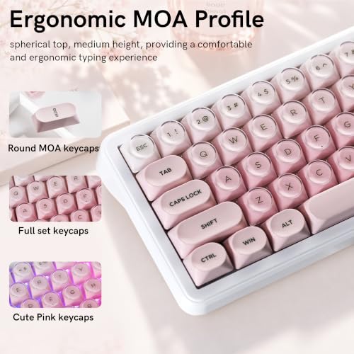 Image of dagaladoo PBT Keyboard keycaps,moa keycaps Jelly,Gradient White /Pink