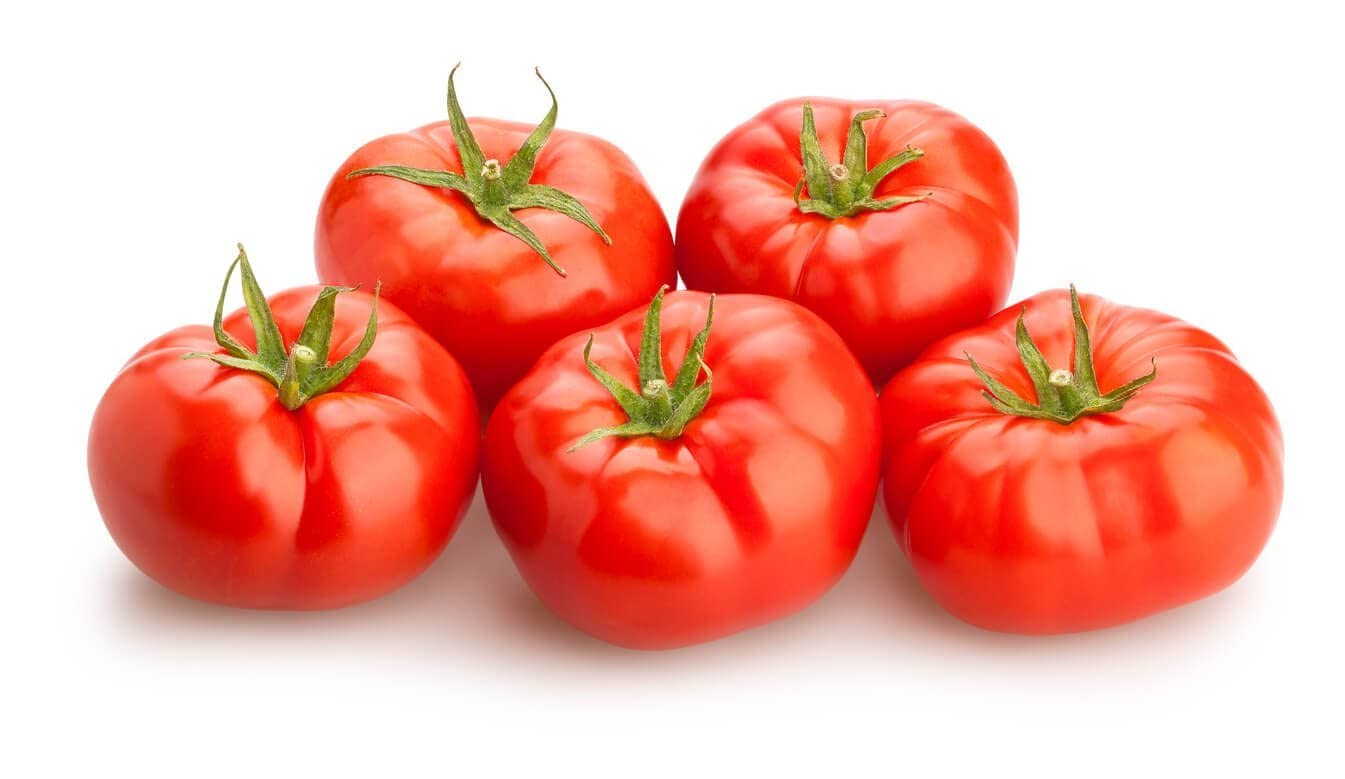 Red Beef Tomato Plug Plants (12 Plugs)