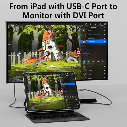Adaptateur USB C vers DVI 4K pour double écran fluide - 4
