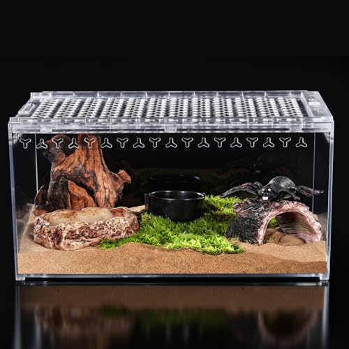 JoviQ Tarantula Enclosure Spider Terrarium Hermit Crab Tank Large