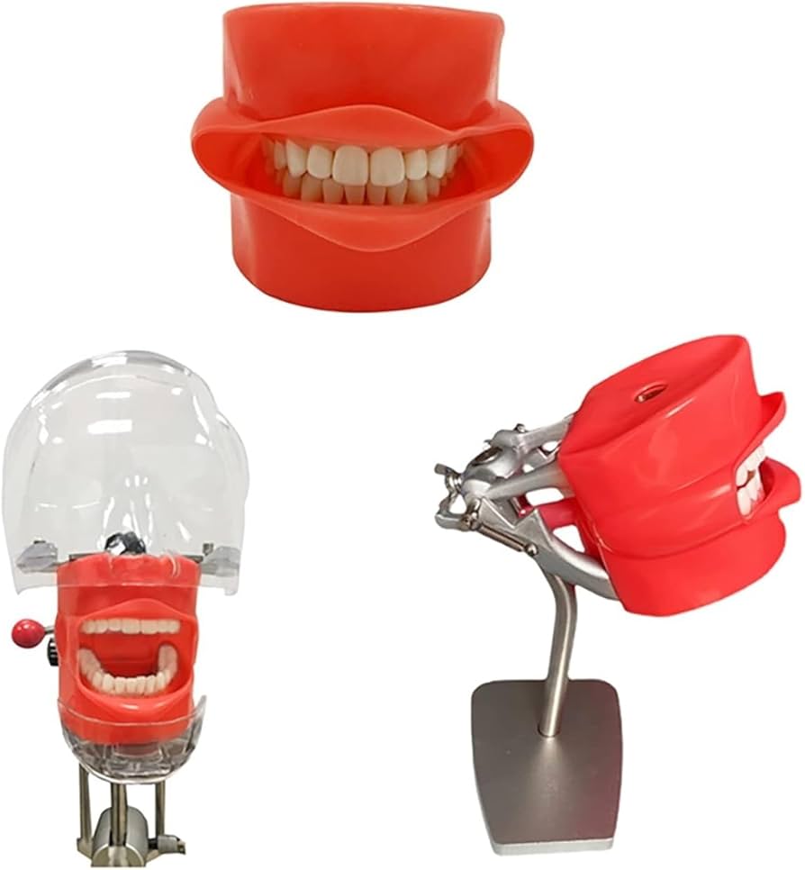 シートマスクと歯科模型セット