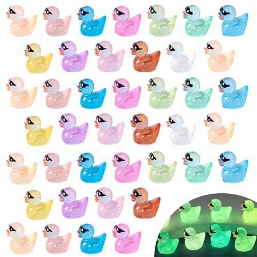 FUYTSUO 60 mini patos de resina luminosa, 12 colores mini patos, pequeños patos de resina luminosos para la decoración de jardines en miniatura, bonsái, tanques de peces y acuarios (12 colores)