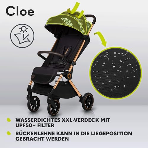 LIONELO Cloe Zusammenklappbarer Kinderwagen bis zu 22 kg, Verstellbare Rückenlehne Schlaffunktion, 5-Punkt-Gurt Große Schwenkräder Moskitonetz Becherhalter Leichtgewicht Kompakt Wasserdicht