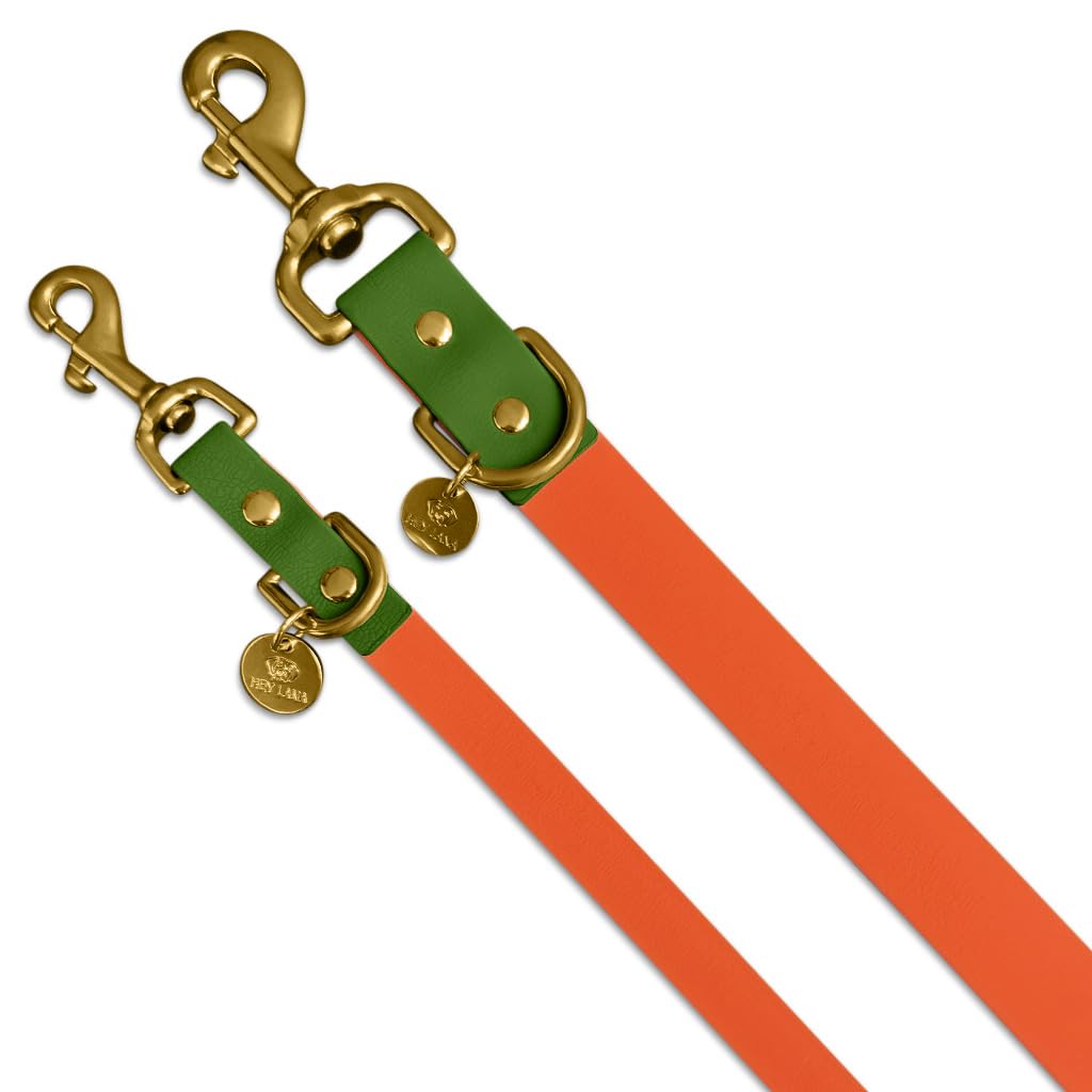 Correa para Perros Hey Lana, Correa de Paseo Ajustable, con 2 mosquetones y 3 Posiciones, Correa de adiestramiento, Correa de tracción, Correa Manos Libres (S, Naranja/Verde, 230cm x 1,5cm)