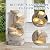 Grepatio Outdoor Water Fountain 5-Tiers Cascading Rock Waterfalls Fountains with 5 LED Lights, Indoor/Outdoor Modern Beige Bowl Feature Garden Water Fountain for Yard, Patio, House Decor