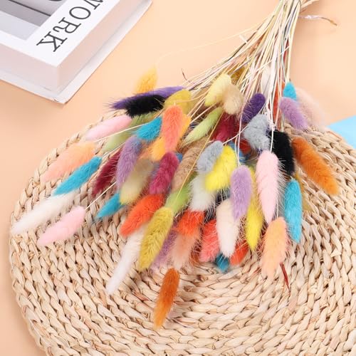 MECCANIXITY 50pcs Natural Dried Pampas Rabbit Bunny Tails Dried Flowers 18" Mini Pampas Grass Lagurus Ovatus Bunch for Home Floral Decor, Cyan by MECCANIXITY - Image 3
