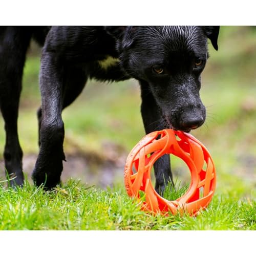 Image of Chuckit! Air Fetch Wheel Dog Toy, Orange