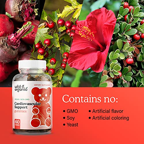 Wild & Organic Vitamins Gummies - With Vitamins B6, B12, C, Magnesium, Beet Root, Hawthorn, Olive, Hibiscus, Buchu, Green Tea, Uva Ursi - 60 Chews #TOP7