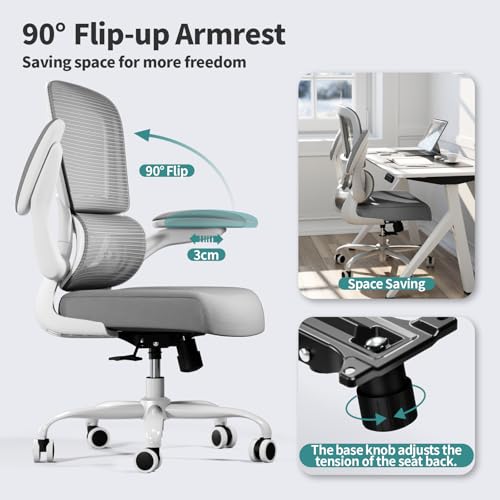 anthros chair
