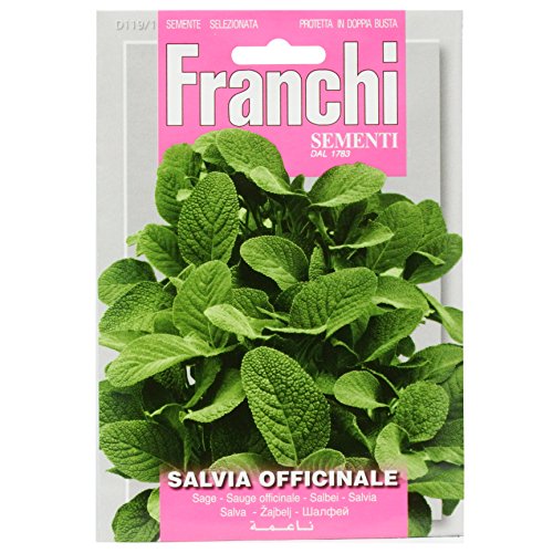 Shibata Gardening Co 119-1