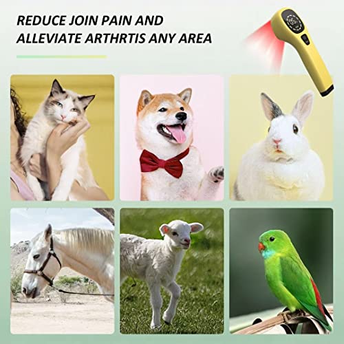 Kts Vet Device For Pets,Red Light Therapy Relieve Local Pain, Epidermal Wound Healing, Handheld Pet Red Light Wavelength 650Nm/808Nm For Dogs,Cats,Horses #TOP4