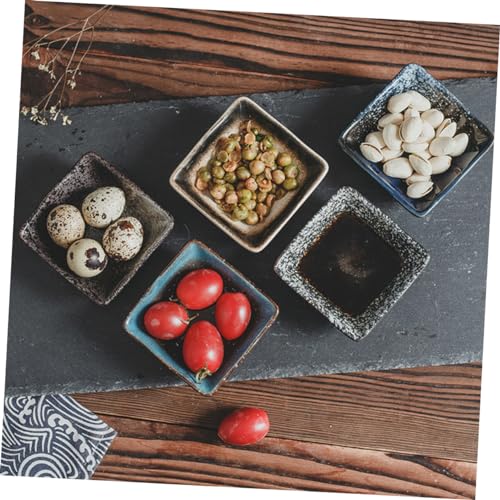 Set 5 platos de cerámica estilo japonés para sushi miniatura 3