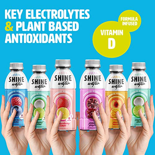 ShineWater Hydration Water, Flavored Drink, Antioxidant Beverage, Zero Sugar, Variety Pack of 12 Bottles