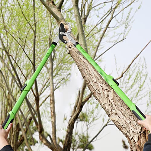 GARDENWORK 28-37" Metal Anvil Loppers,Hand Lopper for Tree Trimming,Garden Loppers & Pruners Heavy Duty with SK5 Blade,Bypass Loppers with Extendable Handles for Cutting 2in Tree and Shrub Care - Image 4