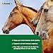 Ramard Total Immune Blast - Equine Immune Support, Horse Vitamin Supplement w/Zinc, Selenium, Omega 3, Omega 6 & Vitamins w/Nucleotides, 30cc Oral Syringe, 1pk
