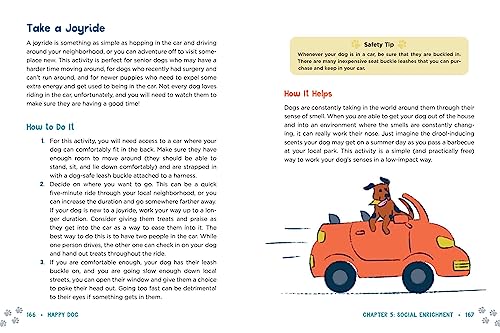 Happy Dog: 101 Easy Enrichment Activities for a Healthy, Happy, Well-Behaved Pup