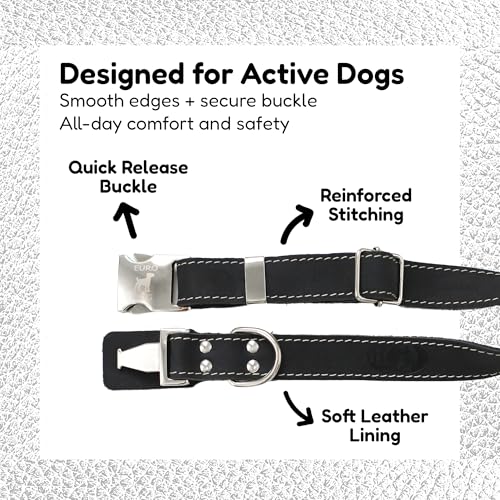 Collar para perro Euro Dog cuero negro talla M miniatura 3