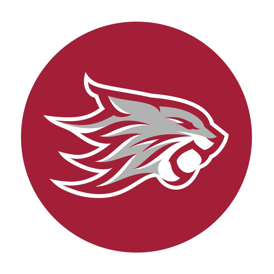 California State University Chico 3 Inch Round Magnet Officially Licensed Collegiate Product