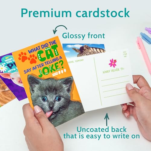 image for T MARIE 40 Funny Animal Joke Postcards with No Repeats - 4x6” Humoro