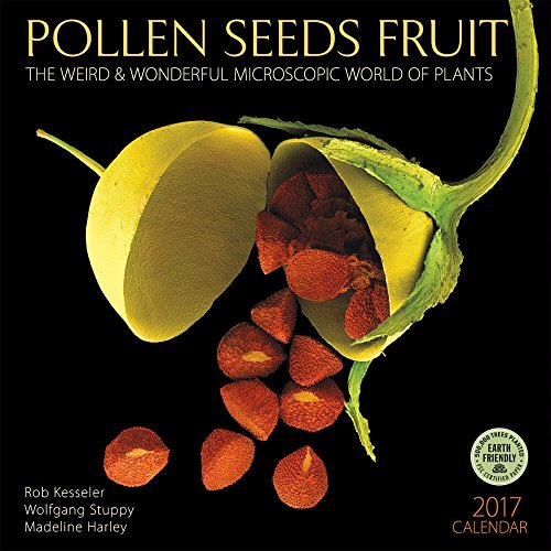 Pollen Seeds Fruit 2017 Calendar: The Weird & Wonderful Microscopic World of Plants