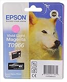 Epson C13T09664010 - Cartucho de tinta, magenta claro válido para EPSON Stylus Photo R2880, Ya disponible en Amazon Dash Replenishment