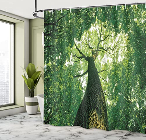ABAKUHAUS Forest Shower Curtain, Tall Old Tree View Sun Rays Top Branches Leaves Nature Picture - Image 4