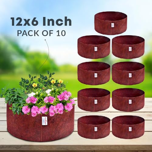 Image of Casa De Amor 350 GSM Geo Fabric Round Plant Grow Bag for Gardening (Maroon) (12x6, Pack of 10)
