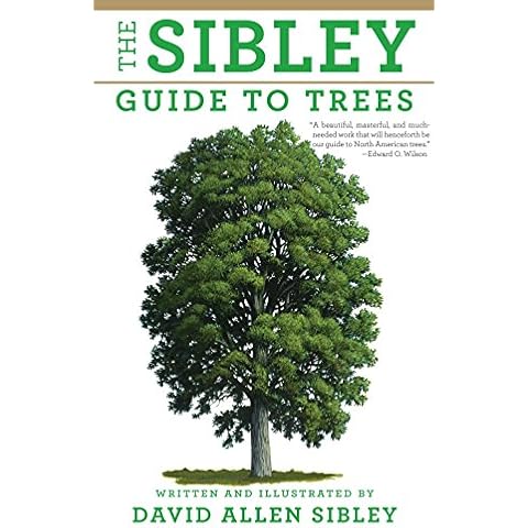 The Sibley Guide to Trees (Sibley Guides) Cover