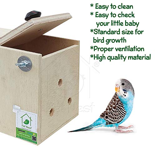 Image of PetNest Standard Budgie Bird and Love Bird breeding nest Box