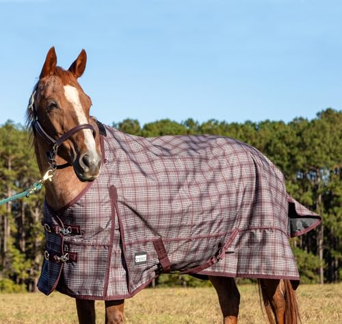 Jeffers Poplar Head Origin 600 Denier Turnout Blanket, 240 Gram, Espresso and Wine Plaid, 81