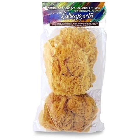 Natural Sea Sponges Value Pack for Artists Cover