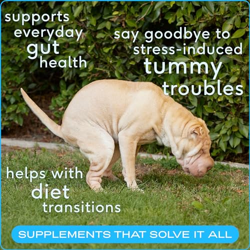 image for Native Pet Vet Created Probiotic Powder for Dogs Digestive Issues - Do