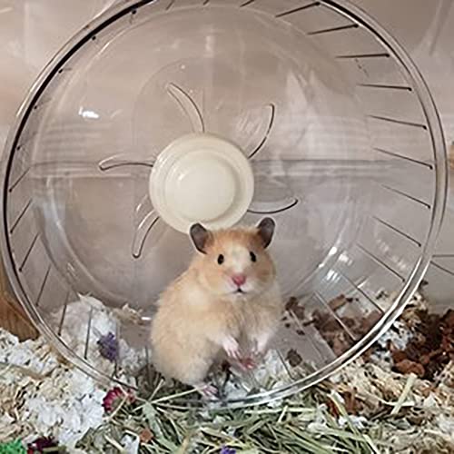 Roue d'exercice pour petits animaux – Roue de course silencieuse pour hamster, gerbilles, souris, hamster nain, hérisson, rat