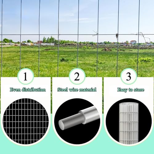 Stainless Steel Welded Wire Mesh Roll for Garden and Coop Protection - Durable and Rustproof Fencing Solution(1mx20m(39inx65.6ft))