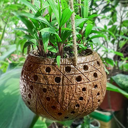 Rainforest Bowls Set Of 2 Hanging Punchout Coconut Planters W/ Drainage Hole- Perfect For Succulents, Flowers, Small Plants, Indoor/Outdoor Gardens- Handcarved By Artisans, Eco-Friendly & Sustainable #TOP1