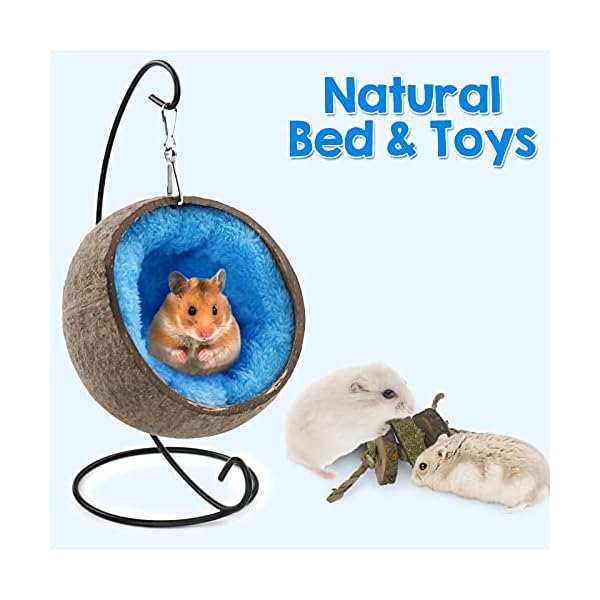 Ranslen natural coconut hamster hideout hammock with molar toy suspension coconut husk hamster bed house with warm pad small animal guinea pigs habitat decor accessories hanging loop (brown) - image 5