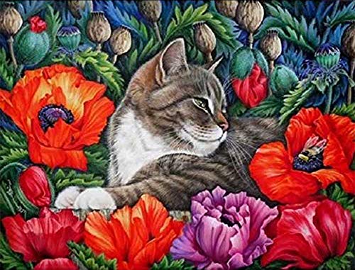 DIY Handwork Store 5D Handmade Diamond Painting Kits by Numbers Cat and Poppy