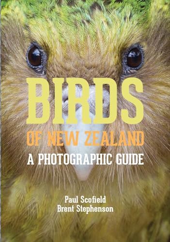 Birds of New Zealand: A Photographic Guide | Amazon price tracker ...