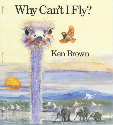 Buy Why Can't I Fly? — BookShops.in