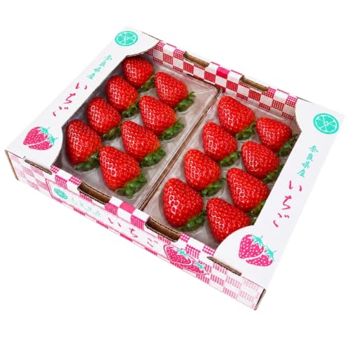 L〜3L 2パック1ケース いちご 平群の古都華 苺屋小東