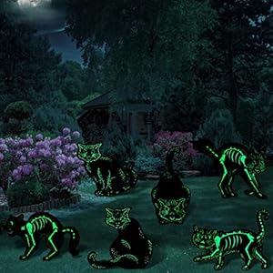 6 Stücke Halloween Schwarze Katze Gartenschilder mit Pfahl Gruselige Katzen Halloween Hof Dekoration Leuchtende Skelett Katze Silhouette Halloween Dekoration Outdoor für Haus Garten