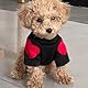 Winmany Hundepullover für kleine und mittelgroße Hunde, Herzaufnäher, Rollkragen-Sweatshirt, für Katzen, Welpen, Frühling, Herbst, Winter (schwarz, S)