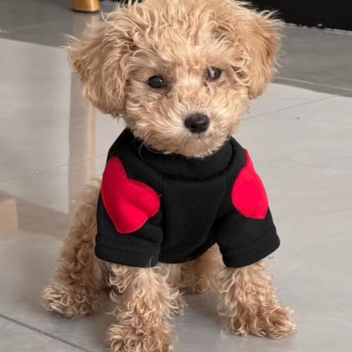 Winmany Hundepullover für kleine und mittelgroße Hunde, Herzaufnäher, Rollkragen-Sweatshirt, für Katzen, Welpen, Frühling, Herbst, Winter (schwarz, L)