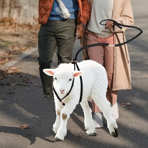 Image of Goat Harness For Walking - Washable Goat Leash And Accessories - Livestock Supplies