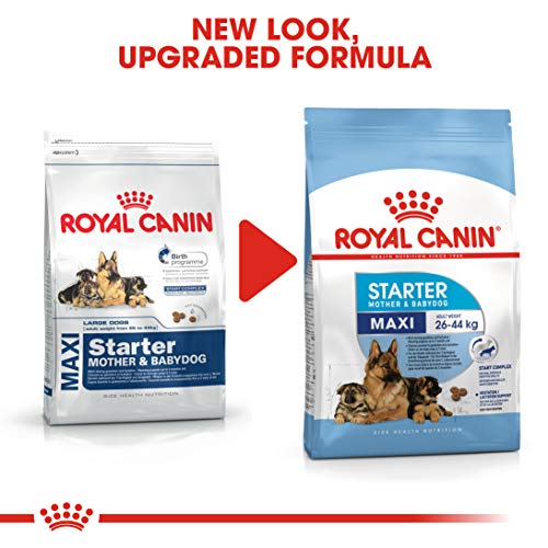 ROYAL CANIN Maxi Starter Mother & Babydog - 15 kg